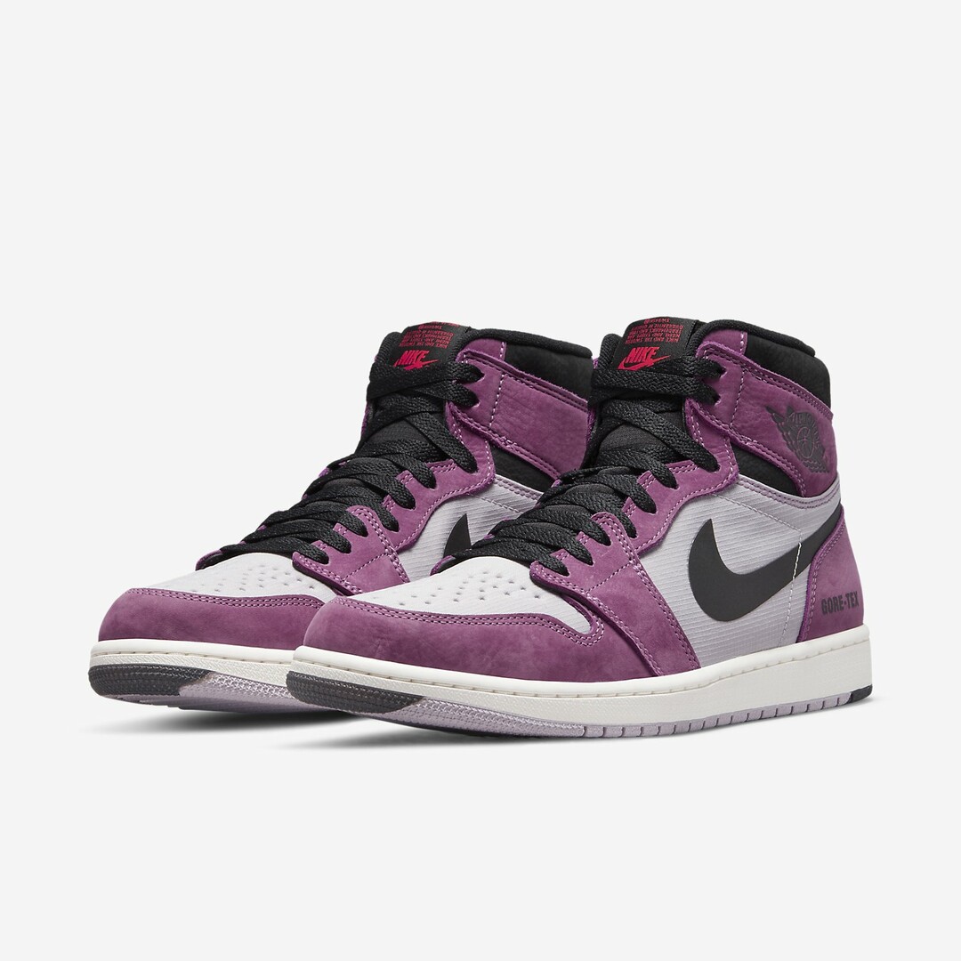 Air Jordan 1 High Element Gore-Tex 